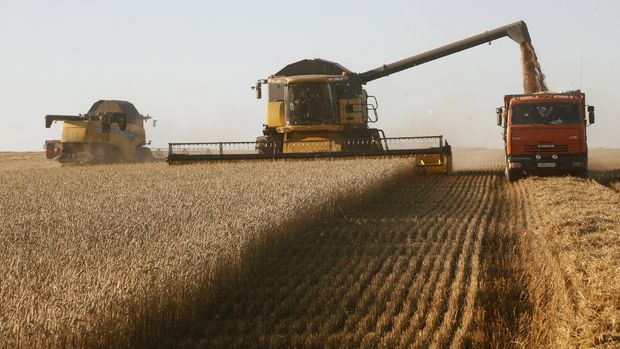 Rusya'nın tahıl ihracatı yüzde 29.5 arttı