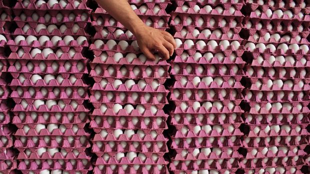 Yumurta üretimi Ekim'de yüzde 3,8 arttı
