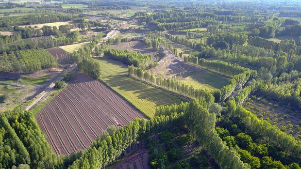 Arsa ve arazi metrekare değeri artışında yüzde 50 sınırı