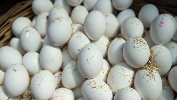 Yumurtacılar 2018'den umutlu