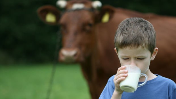 Çiğ süt fiyatına Gıda Komitesi ayarı