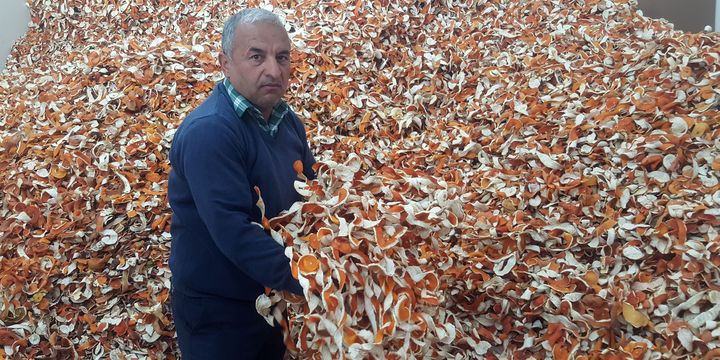 Meyvesi 50 kuruş, kabuğu 4 lira