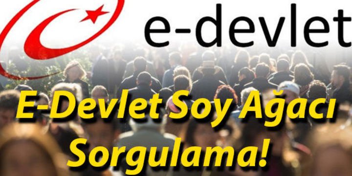 "Alt-üst soy raporu"nun sorgulama sayfası yeniden açıldı