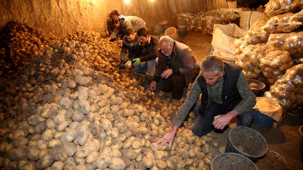600 bin ton patates depoda kaldı