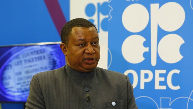 OPEC'ten petrol üreticisi ülkelere iş birliğinin devamı çağrısı