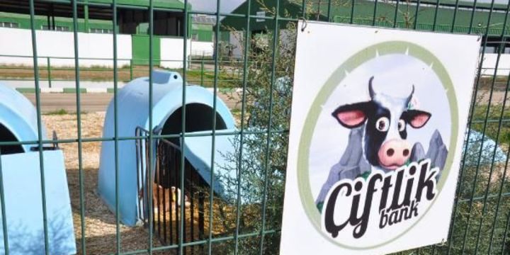 Tüfenkci: Çiftlik Bank gibi 11 oluşum daha tespit ettik