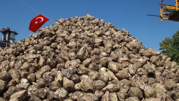 Pankobirlik'ten Türkşeker'in özelleştirilmesine yönelik açıklama