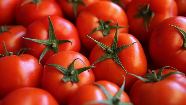 Rusya, Türkiye'den domates ithalat iznini genişletmeye hazır
