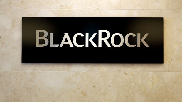 BlackRock/Rieder: ABD 10 yıllıklarının faizi % 3.25'i bulacak