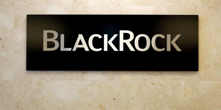 BlackRock/Rieder: ABD 10 yıllıklarının faizi % 3.25