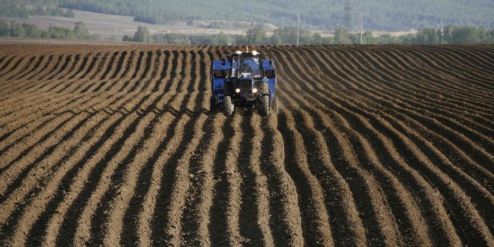 FAO Gıda Fiyat Endeksi Nisan