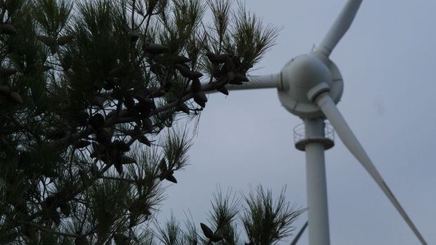 Yenilenebilir enerjide istihdam 10 milyonu aştı