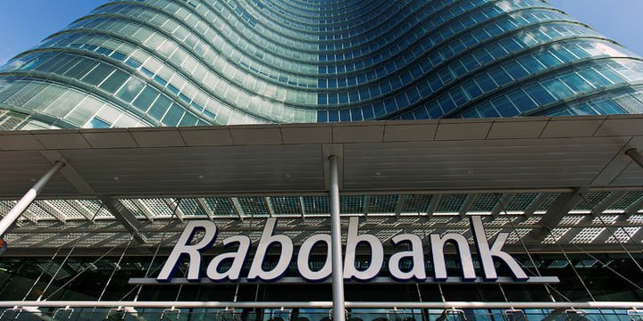 Rabobank: TL kısır döngüde