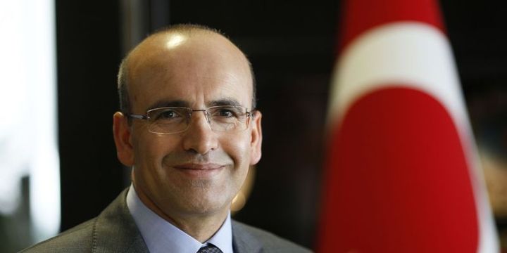 Şimşek: Maliye politikası,Türkiye