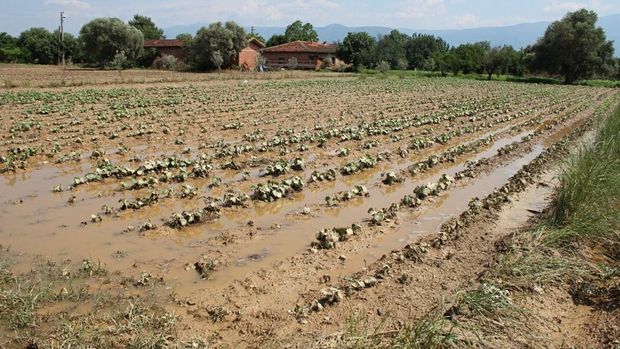 Mayıs yağışları tarım arazilerini vurdu