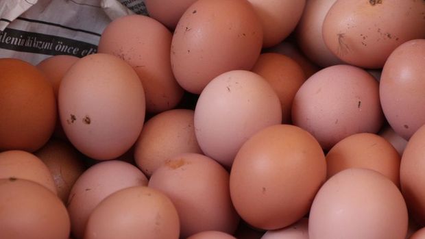 Tavuk yumurtası üretimi Nisan'da azaldı