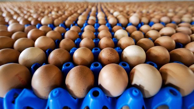 Yumurta üreticilerinden KDV çıkışı