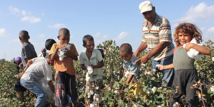 FAO uyardı: Tarımda çocuk işçi sayısı artıyor