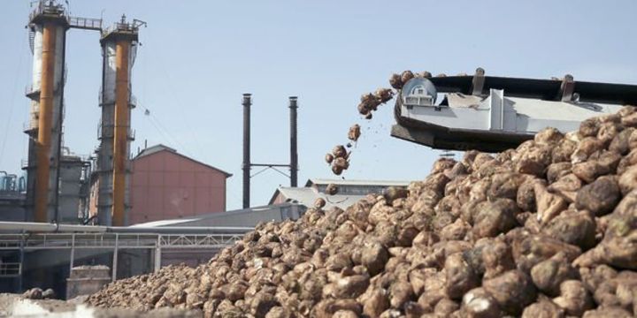 Şeker fabrikalarına sandıkta onay