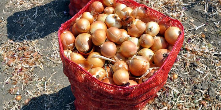 Haziranda en fazla soğanın fiyatı arttı