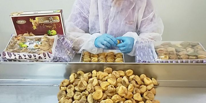 Kuru incir ihracatında