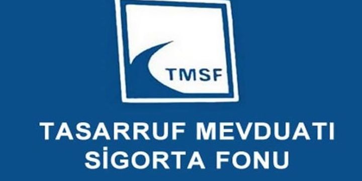 TMSF Cumhurbaşkanlığı ilgili kurumu oldu