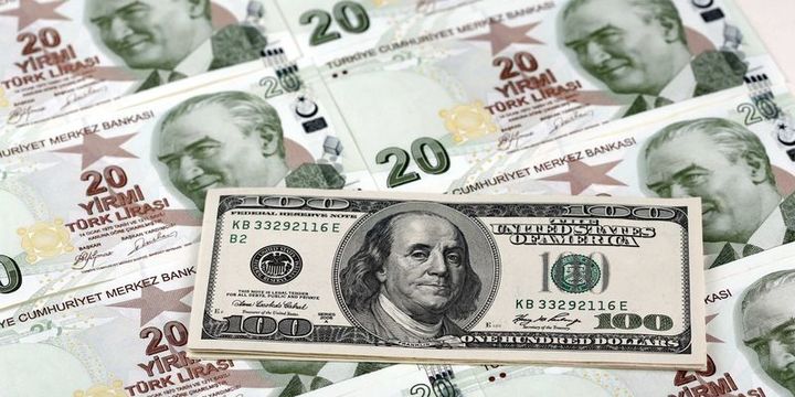 Dolar/TL %1