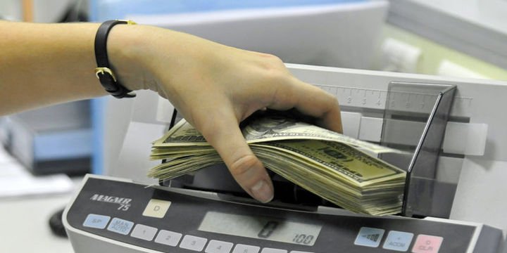 Yurt içi yerleşiklerin döviz mevduatı 1.1 milyar dolar arttı