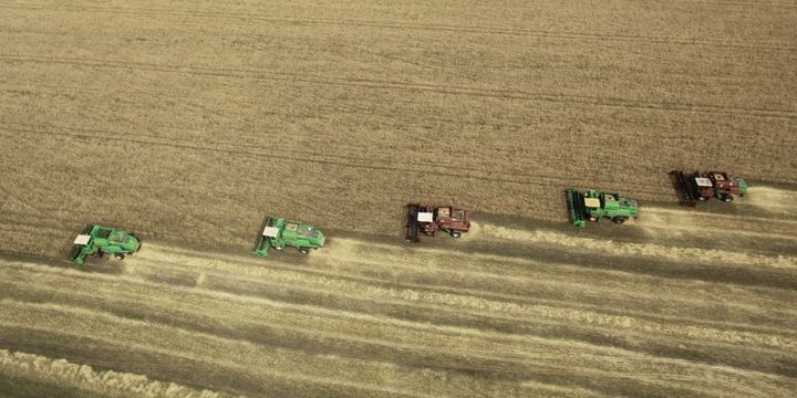 FAO Gıda Fiyat Endeksi Temmuz’da sert düştü