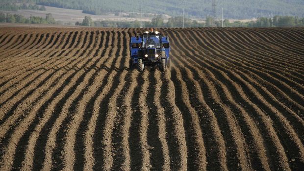 Tarım-ÜFE Temmuz'da yüzde 1,71 arttı