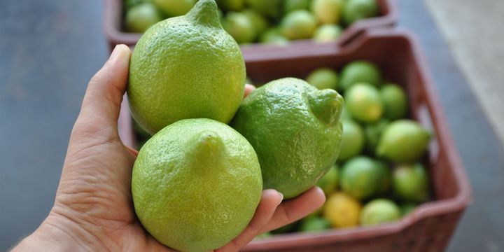 limon fiyatina turfanda ayari bloomberg ht