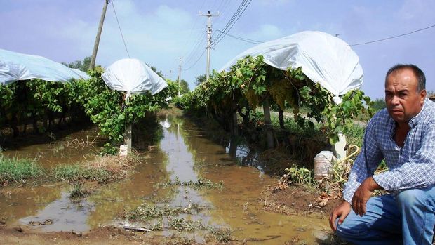 Manisa'da tarım arazilerini dolu vurdu