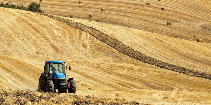 Pakdemirli: 110 milyon liralık hibeyle 195 milyon liralık yatırım yapılacak