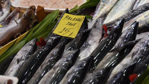 Olumsuz hava balık fiyatlarını artırdı