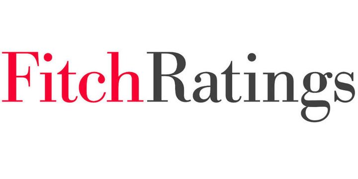 Fitch: Döviz kontrat düzenlemesi DPR akışını düşürebilir