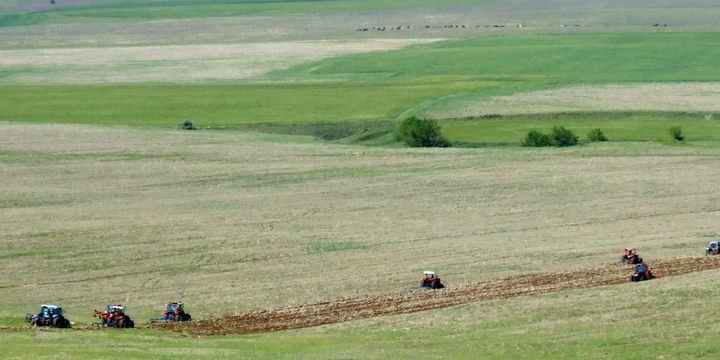 Hazineye ait tarım arazileri için 90 bin başvuru