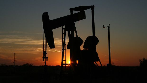  Cezayirli petrol şirketi Nijer'de petrol rezervi buldu