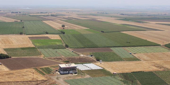 "Dakikada 1,27 dekar araziyi bir daha dönüşü olmamak üzere yitirdik"