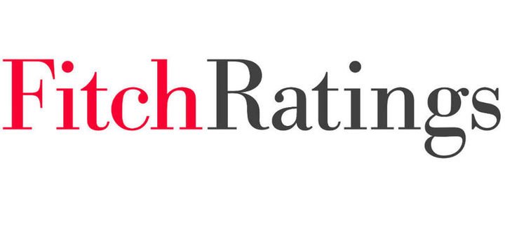 Fitch 4. çeyrek ve 2019
