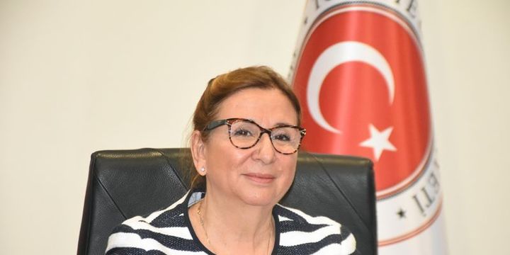 Bakan Pekcan ticarette 2019