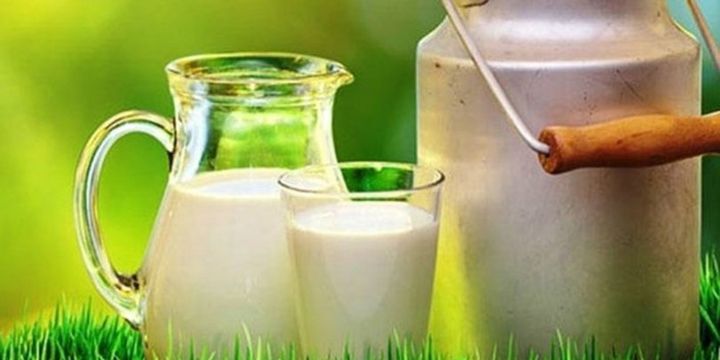 Süt prim desteği 25 kuruşa çıkacak
