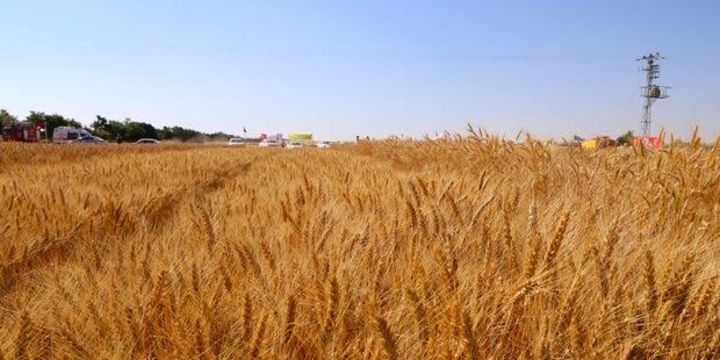 Almanak 2018: Tarım ve Gıda Sektörü