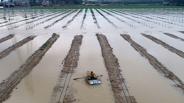 Çiftçiler şiddetli yağış sonrası tarlaya kayıkla girdi 