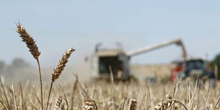 Küresel gıda fiyatları geçen yıl yüzde 3,5 düştü