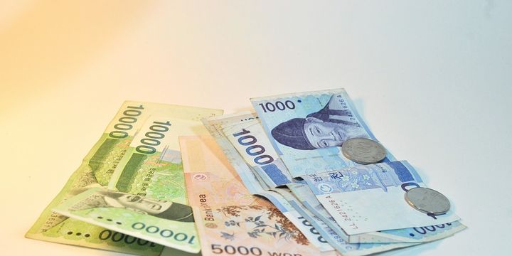 Gelişen ülke paraları won öncülüğünde düştü
