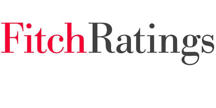 Fitch Japonya