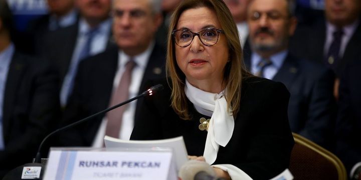 Pekcan: Hal Yasası