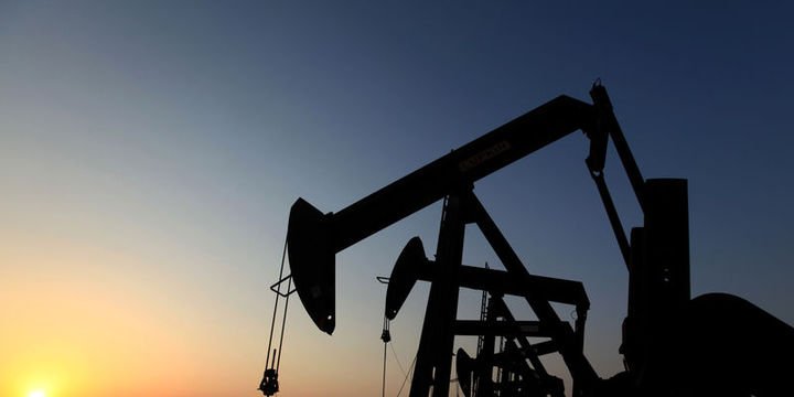 Petrol 2015