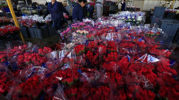 Türkiye'den 50 milyon dal kesme çiçek ihracatı gerçekleştirildi