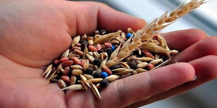 "Yerli tohum gıda fiyatlarını düşürecek"